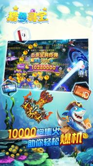 寻宝贵族新爆料视频,神秘宝藏揭秘，探险之旅即将开启！