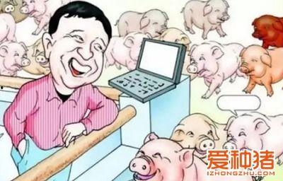 二狗爆料网易后续视频,网易后续视频内容大猜想